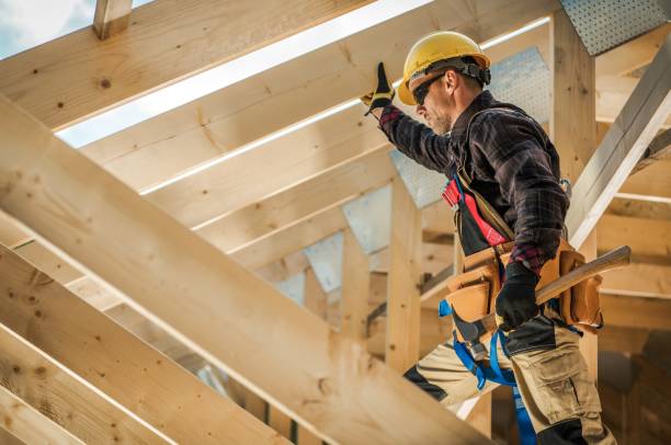 Best Roof Gutter Cleaning  in Kenova, WV